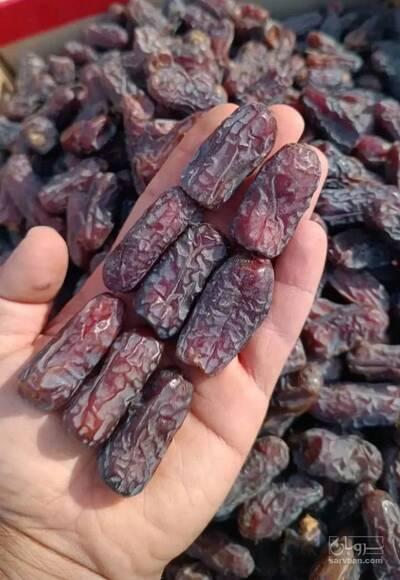 فروش خرما