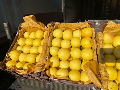 فروش سیب