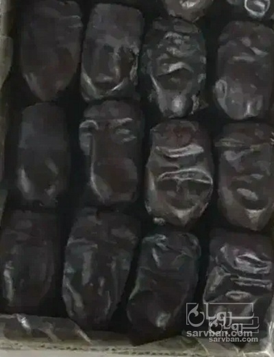 فروش خرما