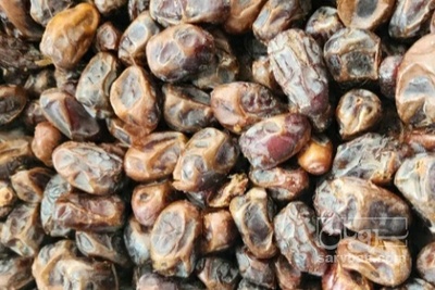 فروش خرما