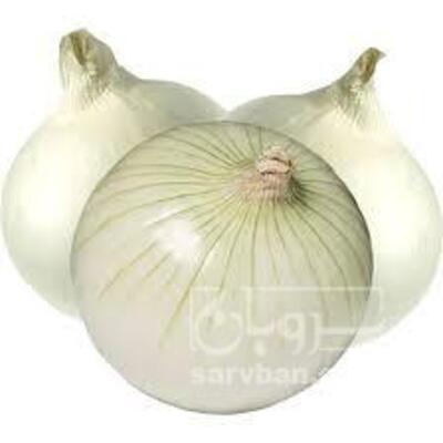 فروش پیاز