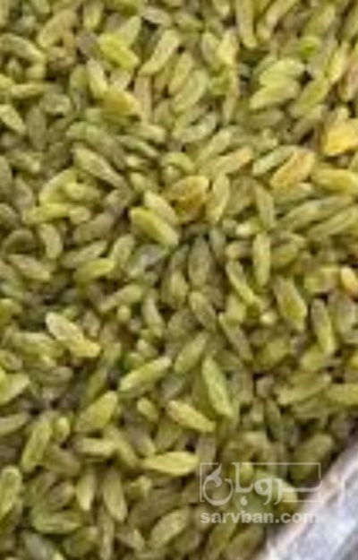 فروش کشمش سبز