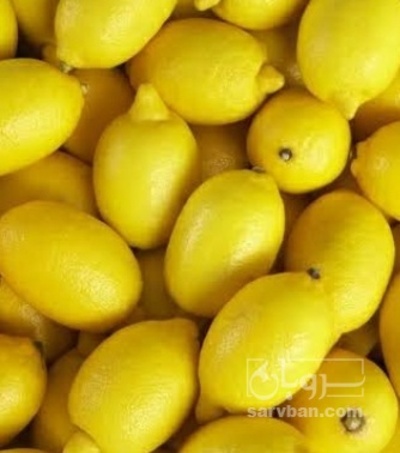فروش لیمو ترش