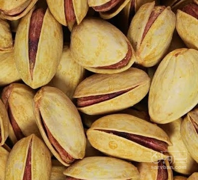 فروش پسته اکبری