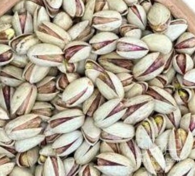 فروش پسته بادامی