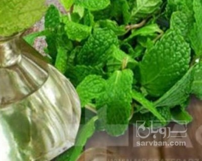 فروش عرق نعناع
