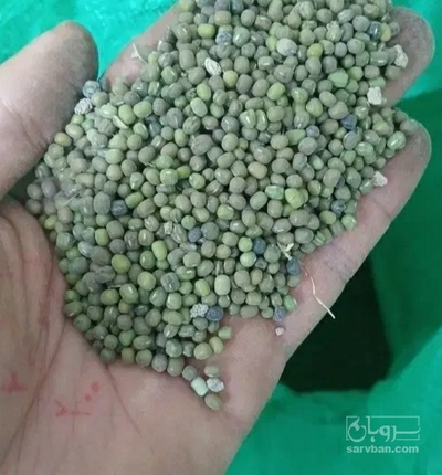 فروش ماش