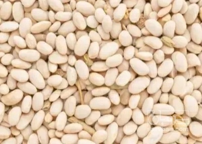 فروش لوبیا سفید