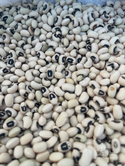 فروش لوبیا چشم بلبلی