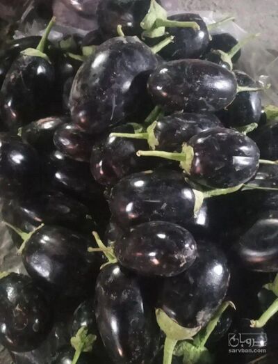 فروش بادمجان دلمه ای