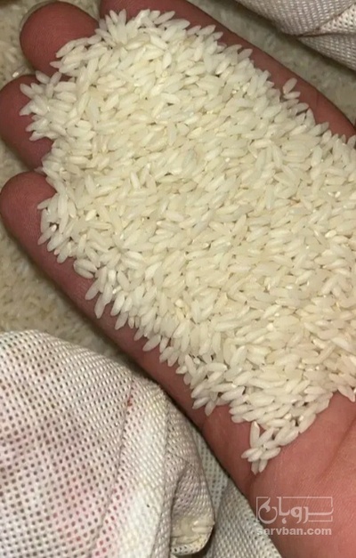 فروش برنج