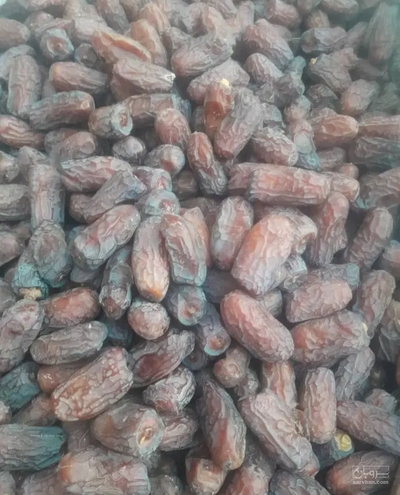 فروش خرما