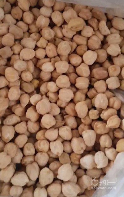 فروش نخود