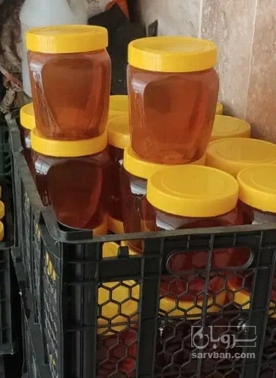 فروش عسل گیاهی