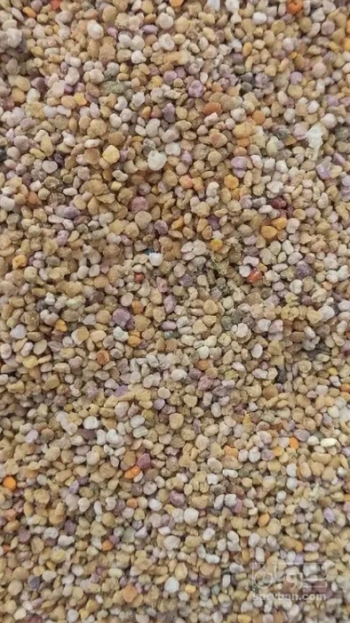 فروش گرده گل