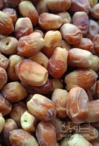 فروش خرما زاهدی