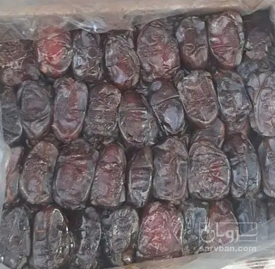 فروش خرما کبکاب