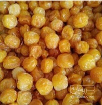 فروش آلو