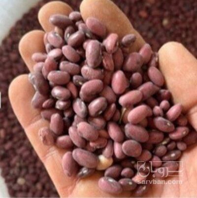 فروش لوبیا قرمز