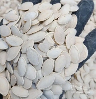 فروش تخمه  کدو بو داده
