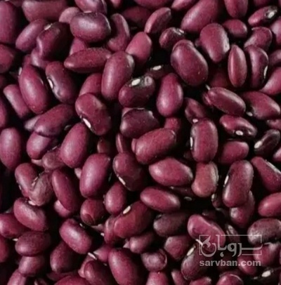 فروش لوبیا قرمز