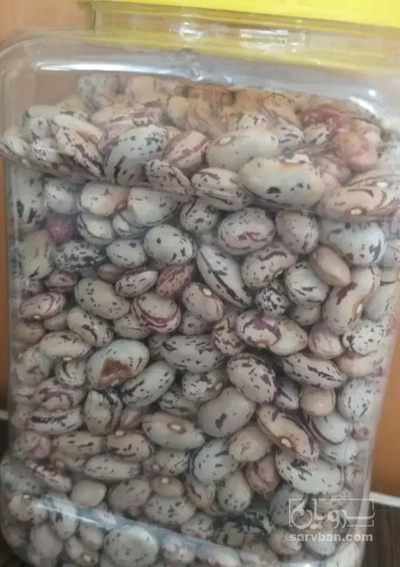 فروش لوبیا چیتی