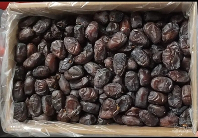 فروش خرما