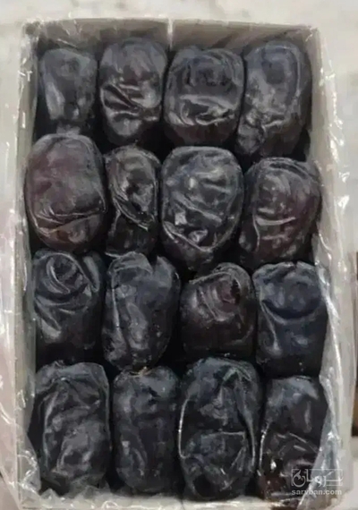 فروش خرما
