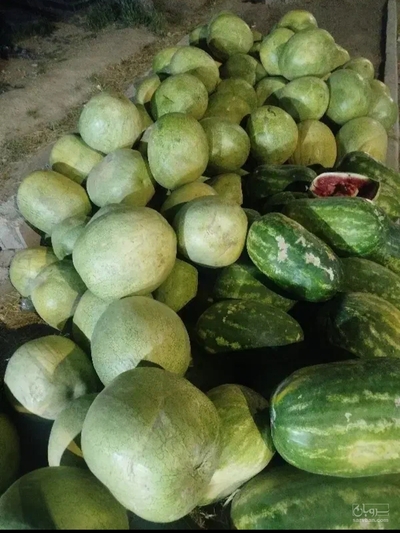 فروش هندوانه
