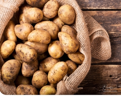 فروش سیب زمینی