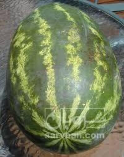 فروش هندوانه