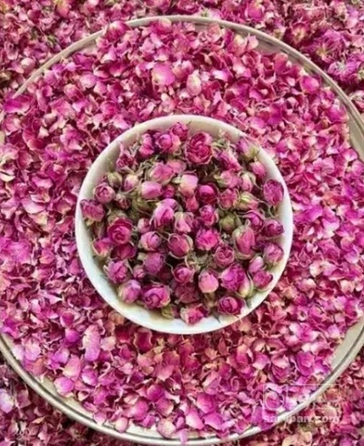 فروش غنچه گل محمدی (گیاه‌ دارویی)