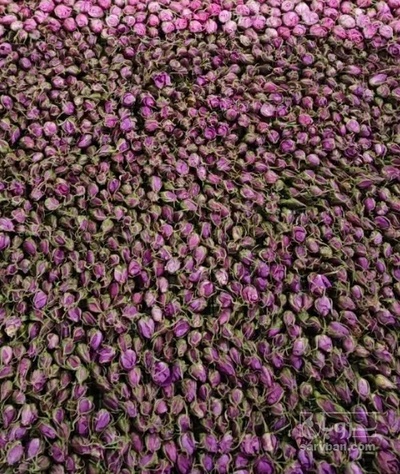 فروش غنچه گل محمدی (گیاه‌ دارویی)