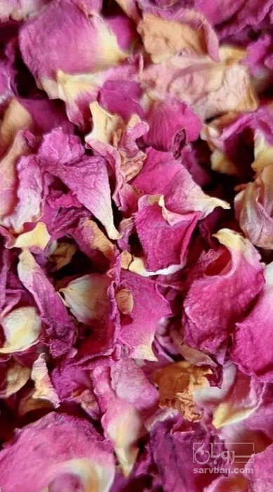 فروش گل محمدی (گیاه‌ دارویی)