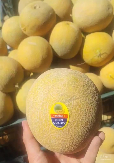 فروش ملون