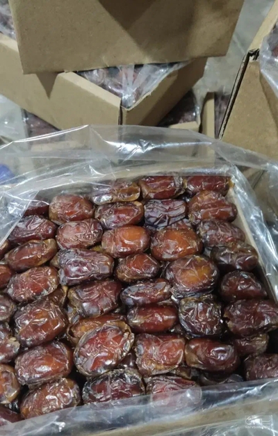 فروش خرما