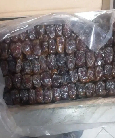 فروش خرما