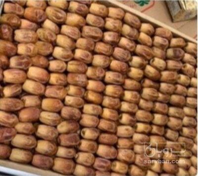 فروش خرما زاهدی