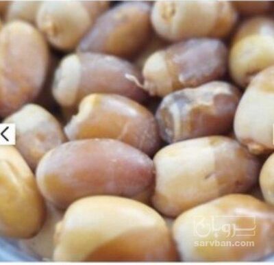 فروش خرما