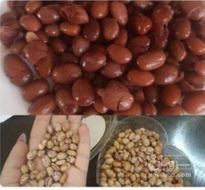 فروش لوبیا چیتی