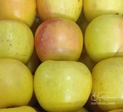 فروش سیب زرد