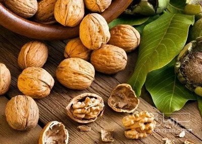 فروش گردو