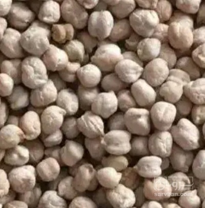 فروش نخود