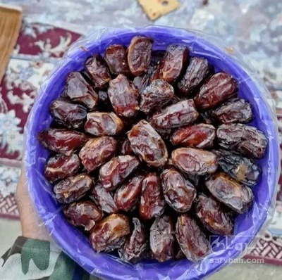 فروش خرما کبکاب