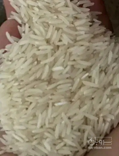 فروش برنج