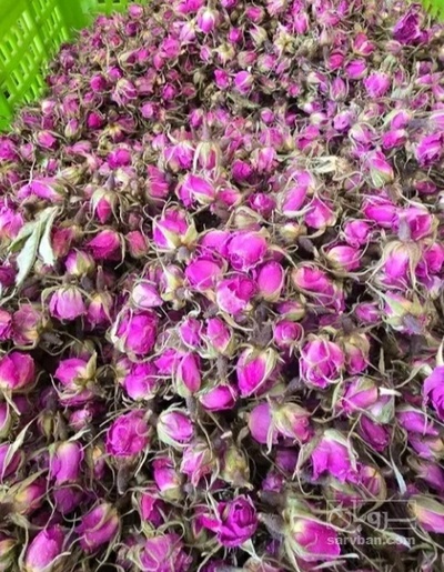 فروش غنچه گل محمدی (گیاه‌ دارویی)