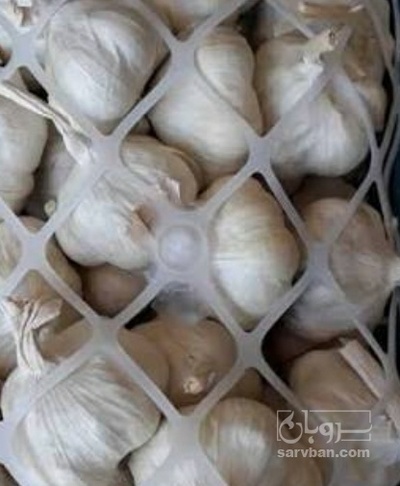 فروش سیر