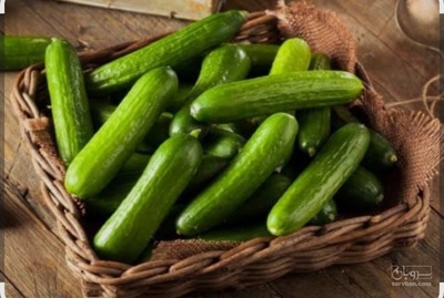 فروش خیار