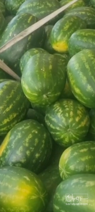 فروش هندوانه