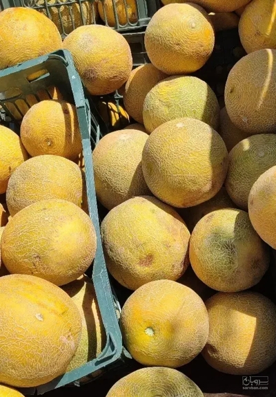 فروش ملون